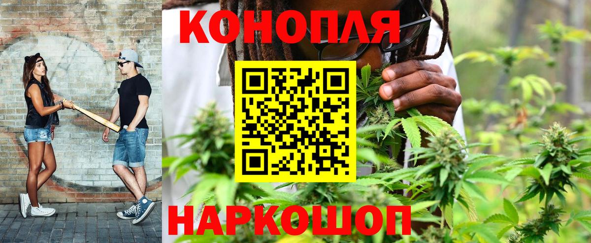 Бошки марихуана гибрид  Конопля марихуана  Узловая  Вход с VPN  Бошки Шишки индика  Бошки Шишки индика 